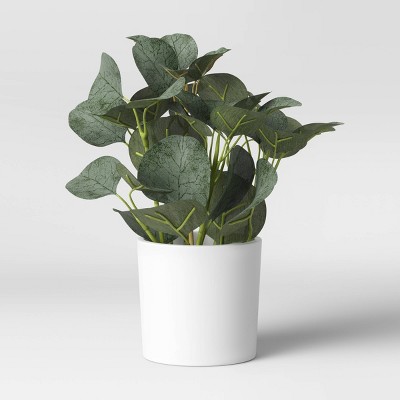 Artificial Plants & Greenery for Home Decor: Target