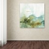 Trademark Fine Art -Lisa Audit 'My Greenhouse Abstract III' Canvas Art - 3 of 3