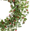 Northlight Glittered Holly and Berry Artificial Christmas Wreath - 24" - Unlit - 4 of 4