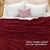 Bedsure | Cute Soft Cozy Checkered Throw Blanket for Couch - 4 of 4