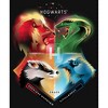Girl's Harry Potter Hogwarts' Four Houses T-Shirt - 2 of 4