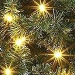 brown base-300 lights
