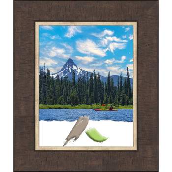 Amanti Art Lined Bronze Picture Frame