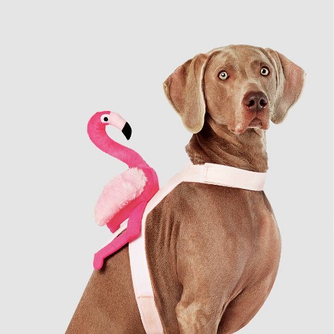 Flamingo Rider Halloween Dog Costume M L Hyde Eek Boutique Target