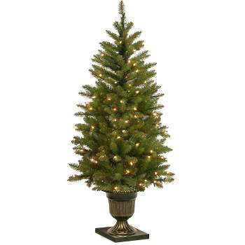4' Pre-lit Dunhill Fir Artificial Christmas Tree White Lights