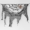 70" LED Lit Spider Webs with Gauze Halloween Novelty Silhouette Lights - Hyde and EEK! Boutique™ - 4 of 4