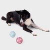 Tennis Ball Dog Toy - Boots & Barkley™ 2pk - 2 of 4
