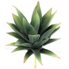 Floral Home 6" Aloe Plant Lifelike Succulent - 24-Piece - 4 of 4