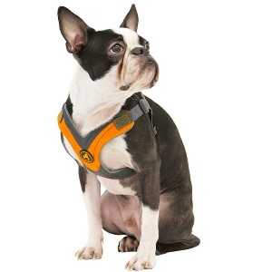 Gooby Trekking Harness, Small Dog Fleece Lined Harness with Memory Foam Padding, Orange, Large - 1 of 1