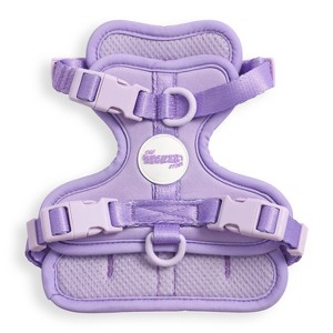 THE LICKER STORE Arlo Adjustable Soft Padded No Pull Pet Harness with 3 Buckles and 3 Leash Clips - 1 of 4