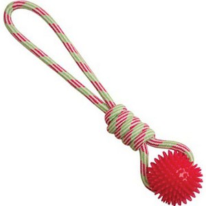 Snugarooz Spike-O-Mite Rope Tug - 1 of 1