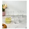 Oval Halo Tritan Glasses Drinking Set of 4 DOF (12oz), Plastic Drinking Glasses, BPA Free Cocktail Glasses, Drinkware Set, Plastic Water Tumblers - 4 of 4