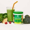 Amazing Grass Greens Blend Superfood Vegan Powder - Original - 8.5oz - image 3 of 4