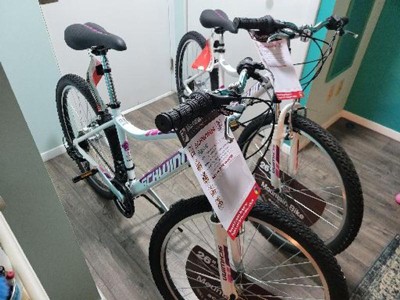 Target schwinn outlet ranger 24