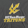 University of California San Diego Official Distressed Primary Logo Unisex Adult Pull-Over Hoodie, University of California San Diego - 2 of 4