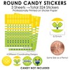 Big Dot of Happiness Let's Rally - Pickleball - Birthday or Retirement Party Small Round Candy Stickers - Party Favor Labels - 324 Count - image 3 of 4