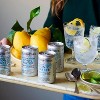 Fever Tree Premium Light Indian Tonic Water - Premium Quality Mixer and Soda - Refreshing Beverage for Cocktails & Mocktails 150ml Cans- Pack of 15 - 3 of 4