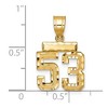 Black Bow Jewelry 14k Yellow Gold, Varsity Collection, Small D/C Pendant Number 53 - 2 of 3