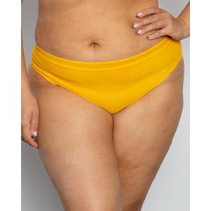 Curvy Couture Women's Mesh High Cut Brief Panty Sunset Glow - 1 of 4