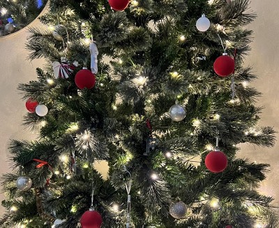 Guest review image 1 of 2, zoom in