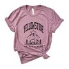 Simply Sage Market Yellowstone National Park Mountain Short Sleeve Tee - 2 of 4