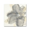 Trademark Fine Art -Chris Paschke 'Floral Gray I' Canvas Art - 2 of 3
