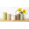 Design Imports Antique White Matte Retro Vine Texture Ceramic Canister Set/3 - 4 of 4