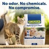 PetSafe Natural Non-Clumping ScoopFree Premium Natural Cat Litter - 8lbs - image 3 of 4