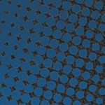 stone cold steve austin