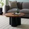 Benvolio Coffee Table - COF3003 - Safavieh - 2 of 4