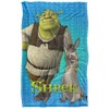 Shrek Pals Silky Touch Super Soft Throw Blanket 36" x 58" - 2 of 4