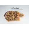 Collectible Wildlife Gifts | Box Turtle, Plush Animal, Soft, Stuffed Reptile Realistic, Beautiful Turtle Design, Figure, Lifelike, Replica, Gift,  11 - 3 of 4
