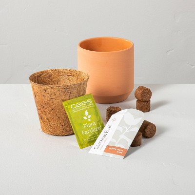 Terracotta Seed Growth Kit - Hearth & Hand™ with Magnolia