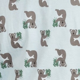 koala blue