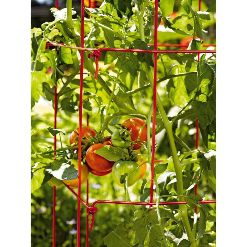 Square Heavy Gauge Extra Tall Easy Fold Tomato Cage, 14.25" x 14.25" x 65", Set of 2, 2 of 5