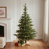 HomeRoots 7' Pre Lit Sparse Fir Christmas Tree - 2 of 4