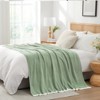 Snuggle Sac Soft Knit Throw Fuzzy Cozy Reversible Microfiber Blanket - 4 of 4