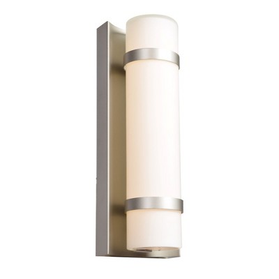 Cilindro Brushed Steel 12" Dimmable LED Outdoor Wall Light