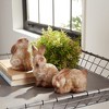 Weathered Terra Cotta Rabbit Garden Statue (Set of 6) - 2 of 3