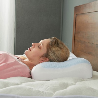 Cheer Collection White Cooling Gel Memory Foam Pillow