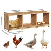BingoPaw 3 Compartments Chicken Nesting Boxes Pine Wooden Chicken House Laying Boxes Easy to Assemble for Chickens, Hens, Ducks, Poultry - 3 of 4