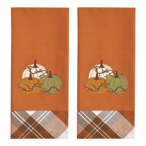 Park Designs Heirloom Bittersweet Dishtowel 2 Set - 1 of 4