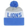 NFL Detroit Lions Margin Knit Beanie - 2 of 2