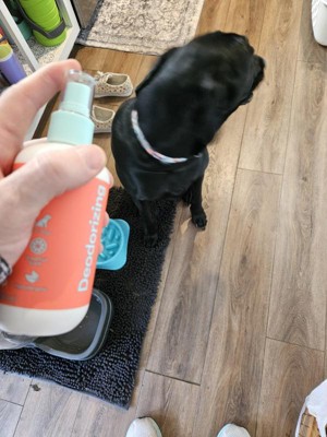Deodorizing Dog Spray 8 Fl Oz Up up Target
