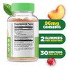 Lifeable - Panax Ginseng - Adult - 60 Gummies - 2 of 4