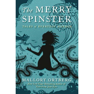 The Merry Spinster - by  Daniel M Lavery (Paperback)