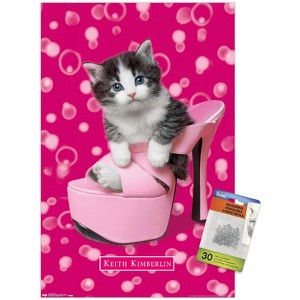 Trends International Keith Kimberlin - Kitten - Shoe Unframed Wall Poster Prints - 1 of 4