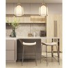 Pearson Collection Brushed Nickel Caged Pendant Light - 1 Bulb, Dimmable, Industrial Style - 2 of 4