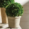 Plum & Post Boxwood 8" Faux (Fake) Ball In Pot - 4 of 4