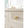Amerock Fararday Round Knob for Cabinets, Drawers, and Furniture - 2 of 4